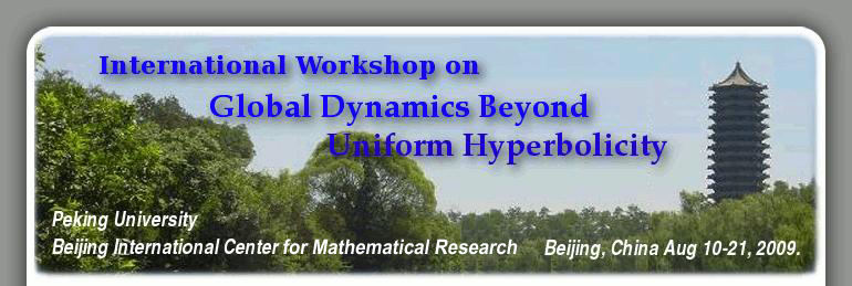 International Workshop On Global Dynamics